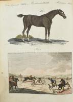 Bertuch, F(riedrich) J(ustin): Természethistóriai képeskönyv az ifjúság hasznára és gyönyörködtetésé...