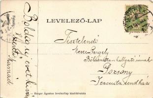 1905 Újvidék, Novi Sad; Futtaki utca, Heksch Nővérek üzlete, Otthon kávéház. Herger Ágoston kiadása ...