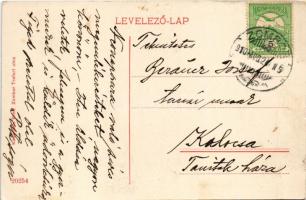 1910 Zombor, Sombor; Szabadság tér, megyeház. Kaufmann Emil kiadása / county hall