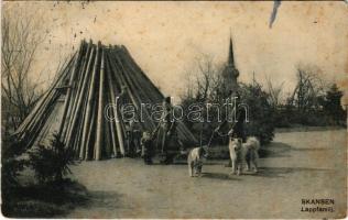 1909 Stockholm, Skansen, Lappfamilj / open-air folk museum (Rb)