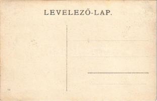 1906 Déva, Maros völgye a várból nézve / Mures river valley from the castle. photo