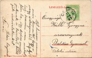 1911 Csopak, látkép, Balaton (fl)