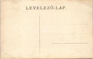 1906 Vulkán-hegység, Muntele Vulcan; turisták Abrudbánya mellett / tourists near Abrud. photo (EB)