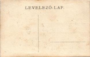 1906 Vulkán-hegység, Muntele Vulcan; turisták Abrudbánya mellett / tourists near Abrud. photo (EK)