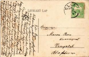 1908 Balaton, Baross gőzhajó a hullámzó Balatonon. Divald Károly 1689-1907. (EK)