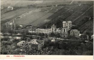 Hinterbrühl, general view