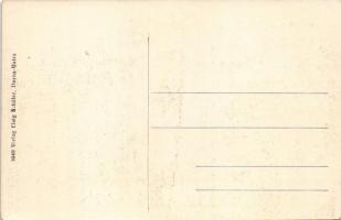 Vatra Dornei, Dornavátra, Bad Dorna-Watra (Bukovina); Falkenhein Quelle / mineral water spring