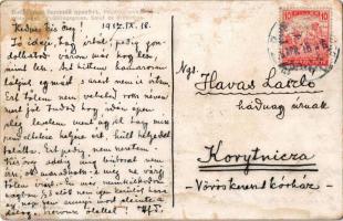 1917 Üdvözlet a Krampusztól! / Krampus greeting. Apollon (r)