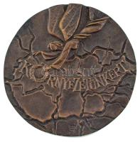 DN "Környezetünkért Emlékplakett Magyarország Földművelésügyi Miniszterétől, a Környezetvédelmi...