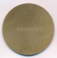 1959. "A Békéért - Eredményes Munkáért - 1949-1959" egyoldalas bronz plakett (60mm) T:XF p...