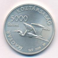 2006. 5000Ft Ag "Fertő Kultúrtáj" emlékérme kapszulában T:UNC
Adamo EM203