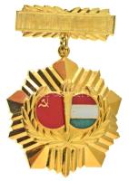 ~1970. "Magyar-Szovjet Baráti Társaság" műgyantás aranyozott jelvény (40mm) T:AU