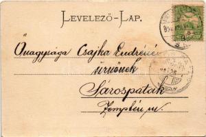 1904 Gyulafehérvár, Karlsburg, Alba Iulia; Székesegyház a várban. Weisz Bernát kiadása / Domkirche i...