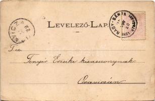 1898 (Vorläufer) Nagybánya, Baia Mare; látkép északról. Divald / general view (EK)