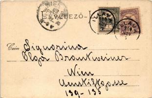 1900 Illava, Illau, Ilava; fegyház, börtön. Gansel Lipót kiadása. Dr. Pattantyús A. M. felvétele / p...