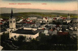 1911 Breznóbánya, Brezno nad Hronom; látkép, zsinagóga. Kreisler József kiadása / general view with synagogue