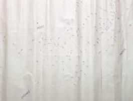 [Térkép] Maglód község helyesbített átnézeti vázlata. Mértéke: 1:10 000. Helyszínelte: Mikus Ferenc,...