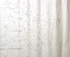 [Térkép] Az Alagi Állami Gazdaság péceli üzemegységének térképe. Mérték: 1:10 000. (1960 körül)
[Bu...