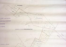 [Térkép] Az Alagi Állami Gazdaság vecsési üzemegységének térképe. Mérték: 1:10 000. (1960 körül)
[B...