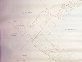 [Térkép] Az Alagi Állami Gazdaság vecsési üzemegységének térképe. Mérték: 1:10 000. (1960 körül)
[B...