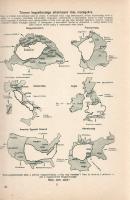 Igazságot Magyarországnak! Trianon kegyetlen tévedései. A Pesti Hírlap ötvenéves fennállása alkalmáb...
