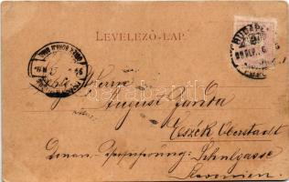 1899 (Vorläufer) Budapest XIV. Városliget, Első budapesti Variete színház, Fisch. Ferenc üzlete (EK)