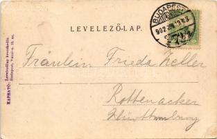 1902 Budapest XIV. Ős-Budavára. Divald Károly 604. (EK)
