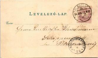 1894 (Vorläufer) Budapest, Széchenyi szobor, Reutter kávéház és étterem, Honvédminisztérium, Hentzi ...