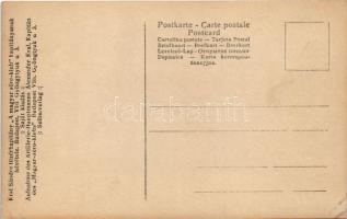 Budapest XIV. Városliget. Légi felvétel a léghajóból 600 méter magasságból. Kral Sándor tüzérkapitán...