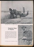 1944 Südostdeutsche Rundschau, a Magyarországi német népcsoport újságja, 1944. augusztus, III. évf. ...