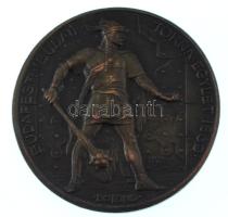 Berán Lajos (1882-1943) ~1930. "Budapesti (Budai) Torna Egylet 1869 - Botond" kétoldalas bronz sport díjérem (40mm) T:AU,XF patina