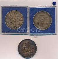 Csucs Viktória (1934-1993) 1979. "Magyar Éremgyűjtők Egyesülete 1969-1979" kétoldalas bron...