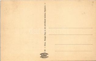 Ráckeve, Dunaparti részlet az Árpád híddal