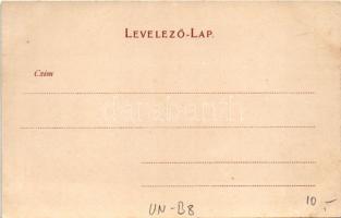 Budapest VIII. M. Kir. Honvéd Ludovika Akadémia, Ludoviceum