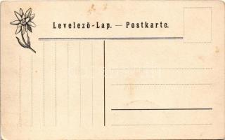 Rózsahegy, Liptó-Rózsahegy, Ruzomberok; Katolikus templom és városháza. Feitzinger Ede No. 890. L. 1...