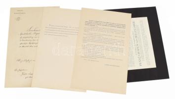 1899 Az Erzsébet-renddel kapcsolatos tétel: Az Erzsébet-rend és az ezzel egybekapcsolt Erzsébet-érem...