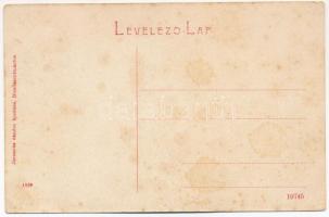 Dicsőszentmárton, Tarnaveni, Diciosanmartin; Elmegyógyintézet, tébolyda. Jeremiás Sándor kiadása 183...