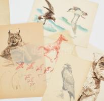 Zimbródy Gulyás (Lehmayer) Ferenc (1909-1979) grafikus, festőművész, 16 db állattanulmány. Vegyes te...