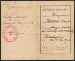 1919-1920 Fényképes hadihajós igazolvány, Kroditek József törzsgépmester részére, "Magyar Hadüg...
