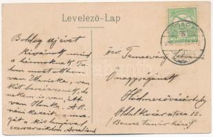 1909 Fogaras, Fagaras; Vármegye közkórháza / hospital (ázott sarok / wet corner)