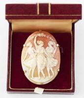 Kámea bross, 14k arany (Au) szerelékben, jelzés nélkül, díszdobozban, 5x4 cm /// Cameo brooch, set in 14k gold (Au), unmarked, in a decorative box, 5x4 cm.