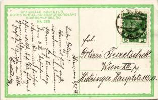 1916 Das mittlere Gemeinsame Wappen / The middle common coat of arms. Viribus Unitis. Offizielle Kar...