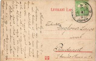 1911 Hajdúböszörmény, városháza. Altmann Noé kiadása (EK)