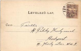 1900 Kalocsa, Fő utca, Helfer szálloda, városháza, Klein Ignác divatáruháza, Stern Jakab üzlete és s...