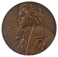 Ausztria ~1910. Beethoven egyoldalas bronz emlékérem. Szign.: Franz Stiasny (90mm) T:XF kis patina / Austria ~1910. Beethoven one-sided bronze medallion. Sign.: Franz Stiasny (90mm) C:XF small patina