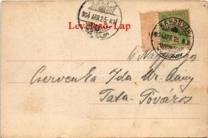 1904 Kaposvár, látkép 1860-ban. Szalai Ferenc kiadása (EK)