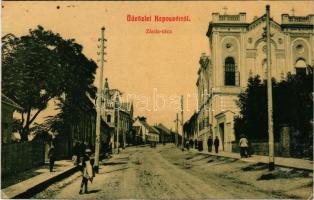 1909 Kaposvár, Zárda utca. W.L. 2552. (EK)