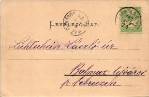 1902 Szombathely, Savariai épületmaradvány. Knebel fényképész kiadása