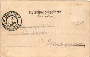 1899 (Vorläufer) Gornje Planjane, Gornje Planine; general view. Art Nouveau, floral (Rb)