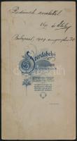 1907 Bp., házaspár portréja, keményhátú fotó Szerdahelyi budapesti műterméből, 20,5×11 cm